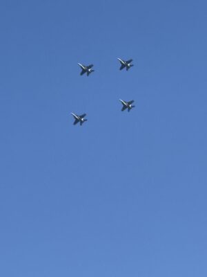 IMG_3081